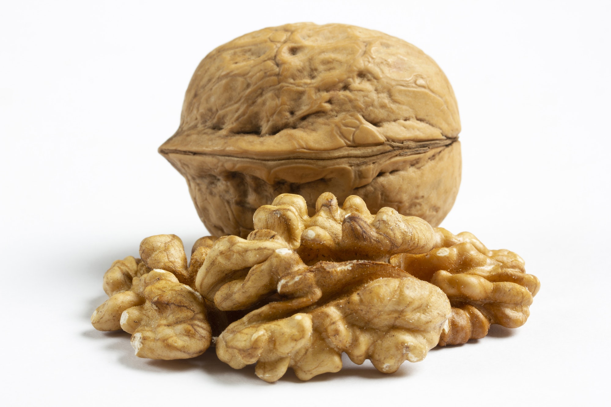 Walnut isolated on white background.